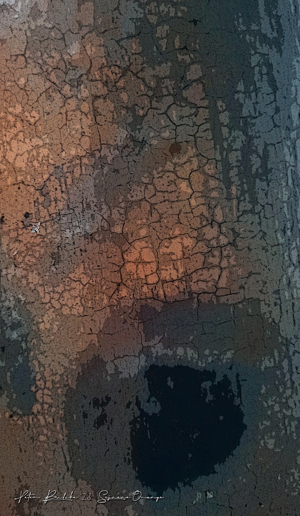 Artwork Sejnene Orange 140x245cm