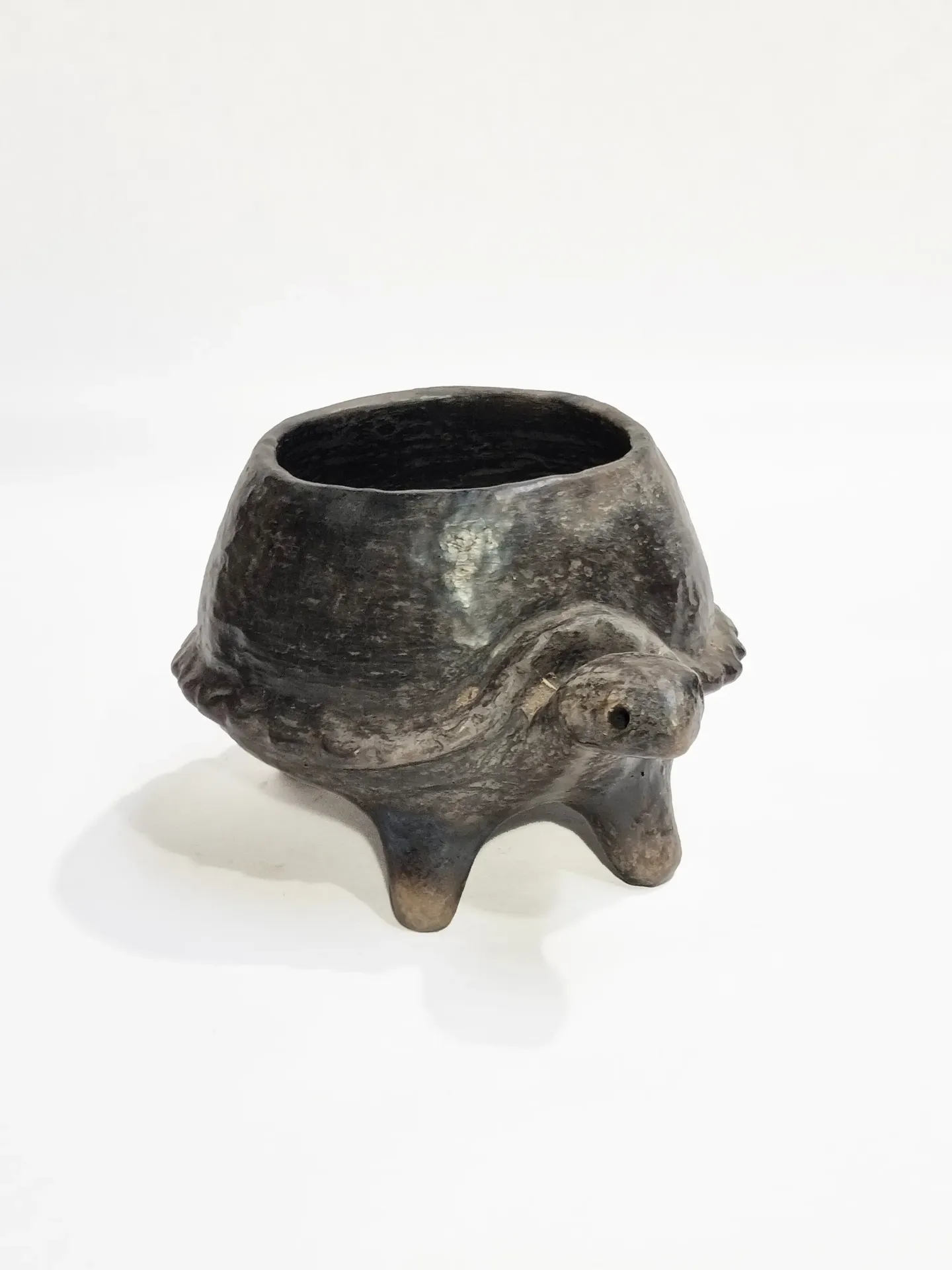 Pot Terracotta  I Turtle I 001 S5 Charcoal
